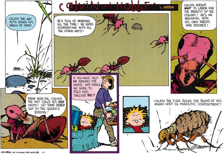 Let some other sap do the Queen's bidding Calvin and Hobbes - “Let some other sap do the Queen’s bidding”.